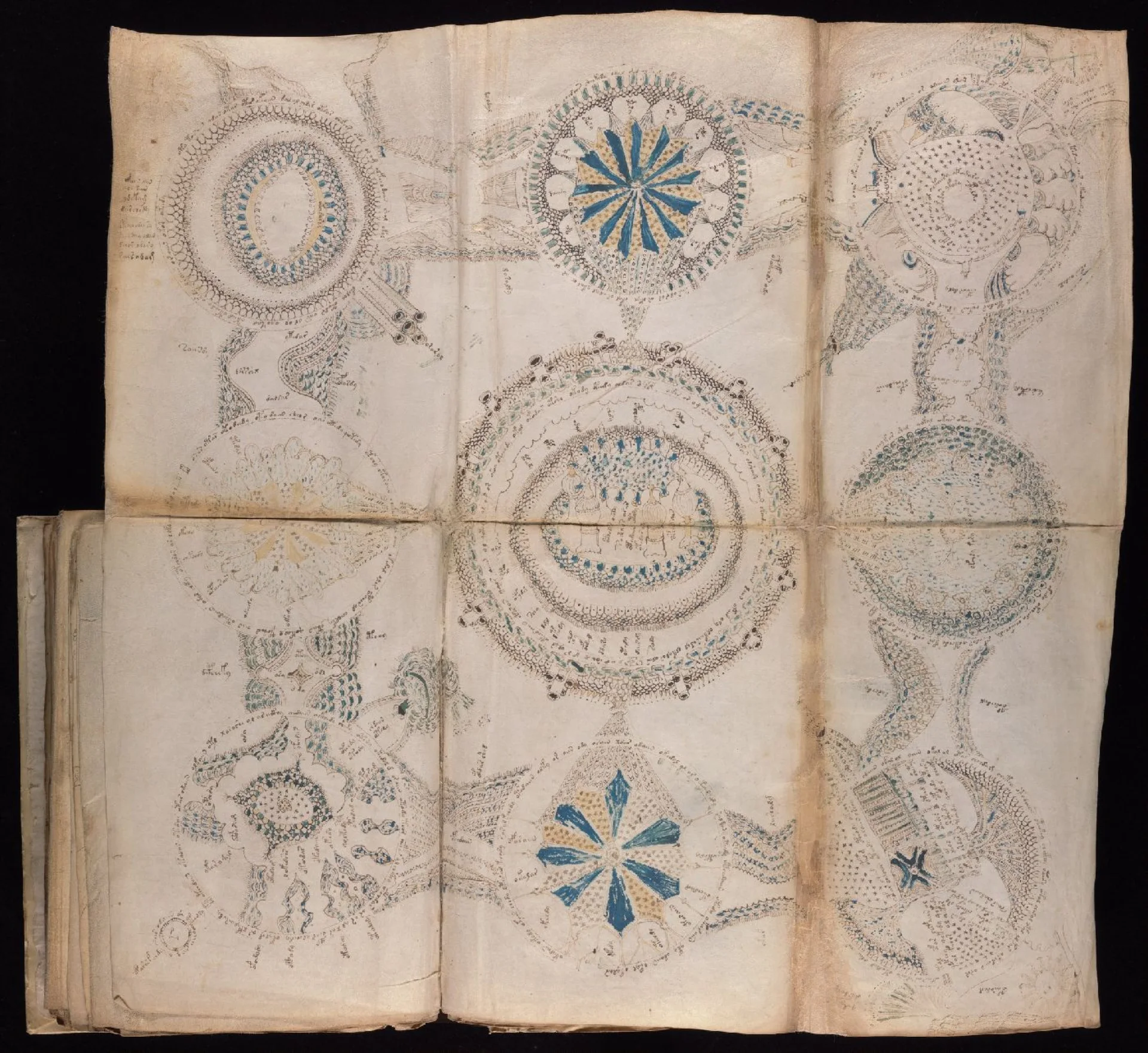 The full Rosettes foldout, folios 85v–86r.